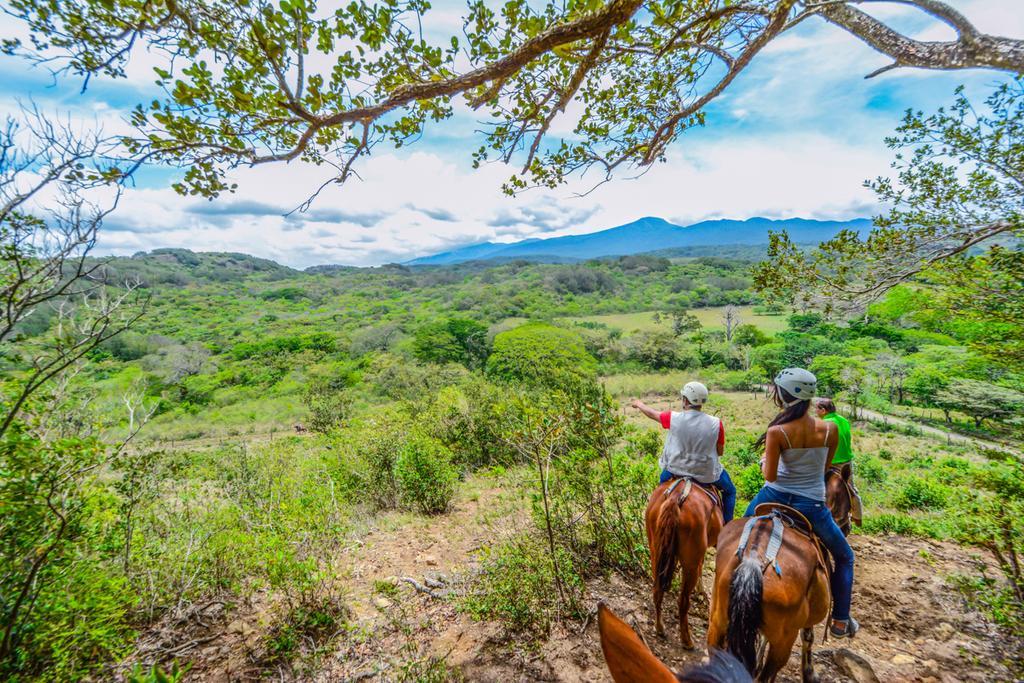 Vida Aventura Ranch Hotel Tanques Ngoại thất bức ảnh