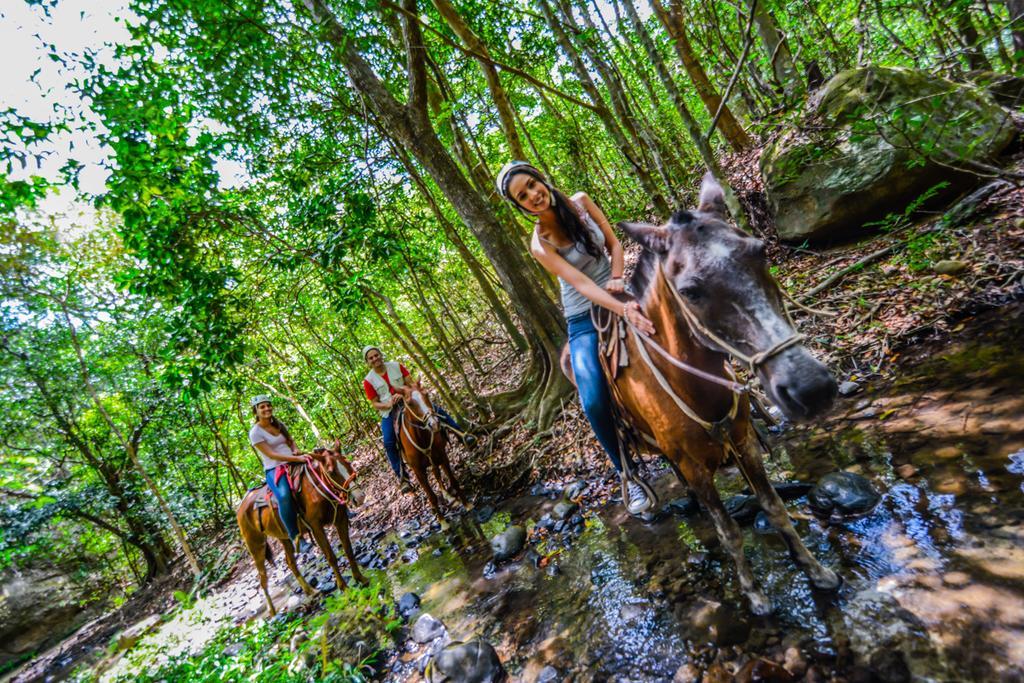Vida Aventura Ranch Hotel Tanques Ngoại thất bức ảnh