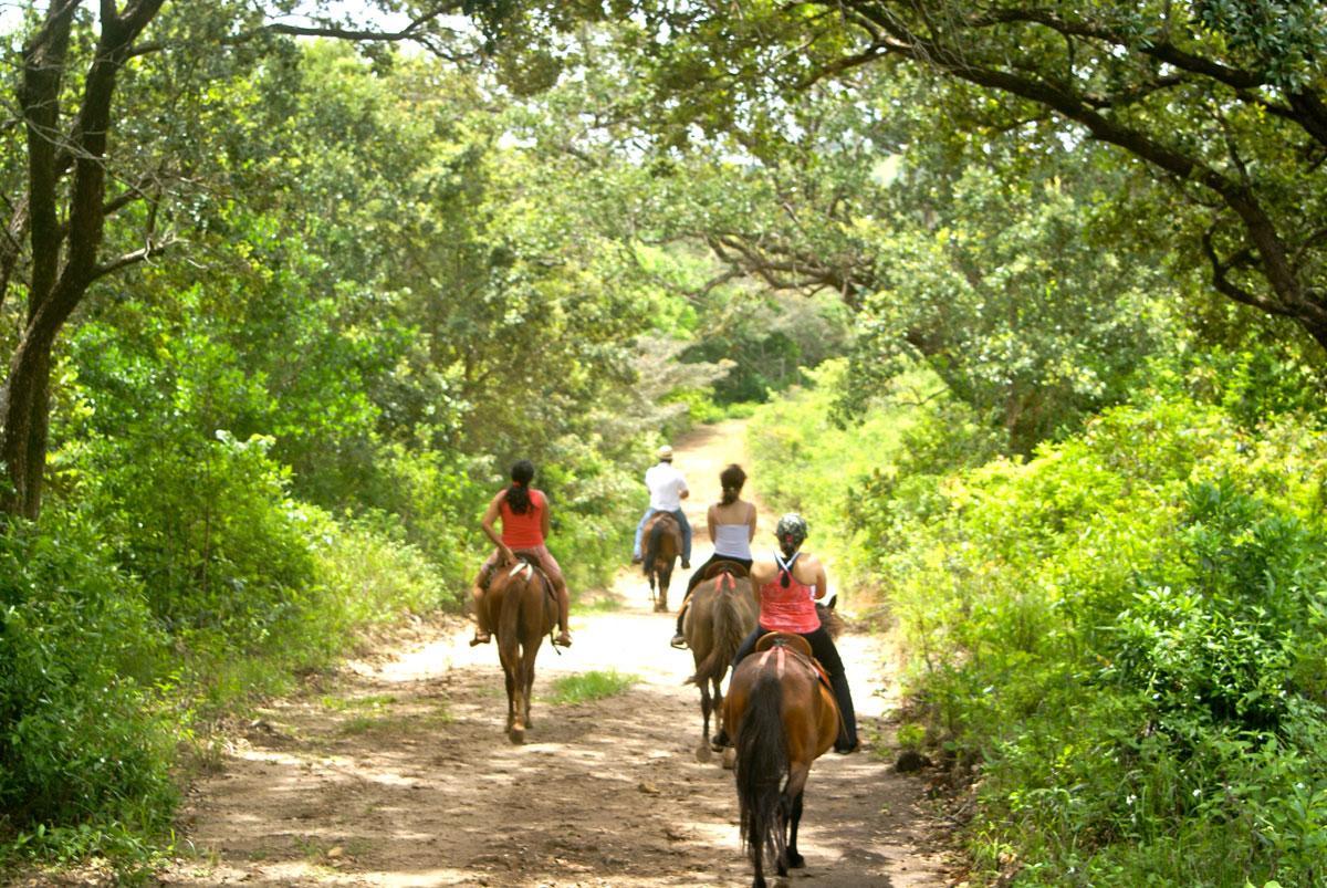 Vida Aventura Ranch Hotel Tanques Ngoại thất bức ảnh